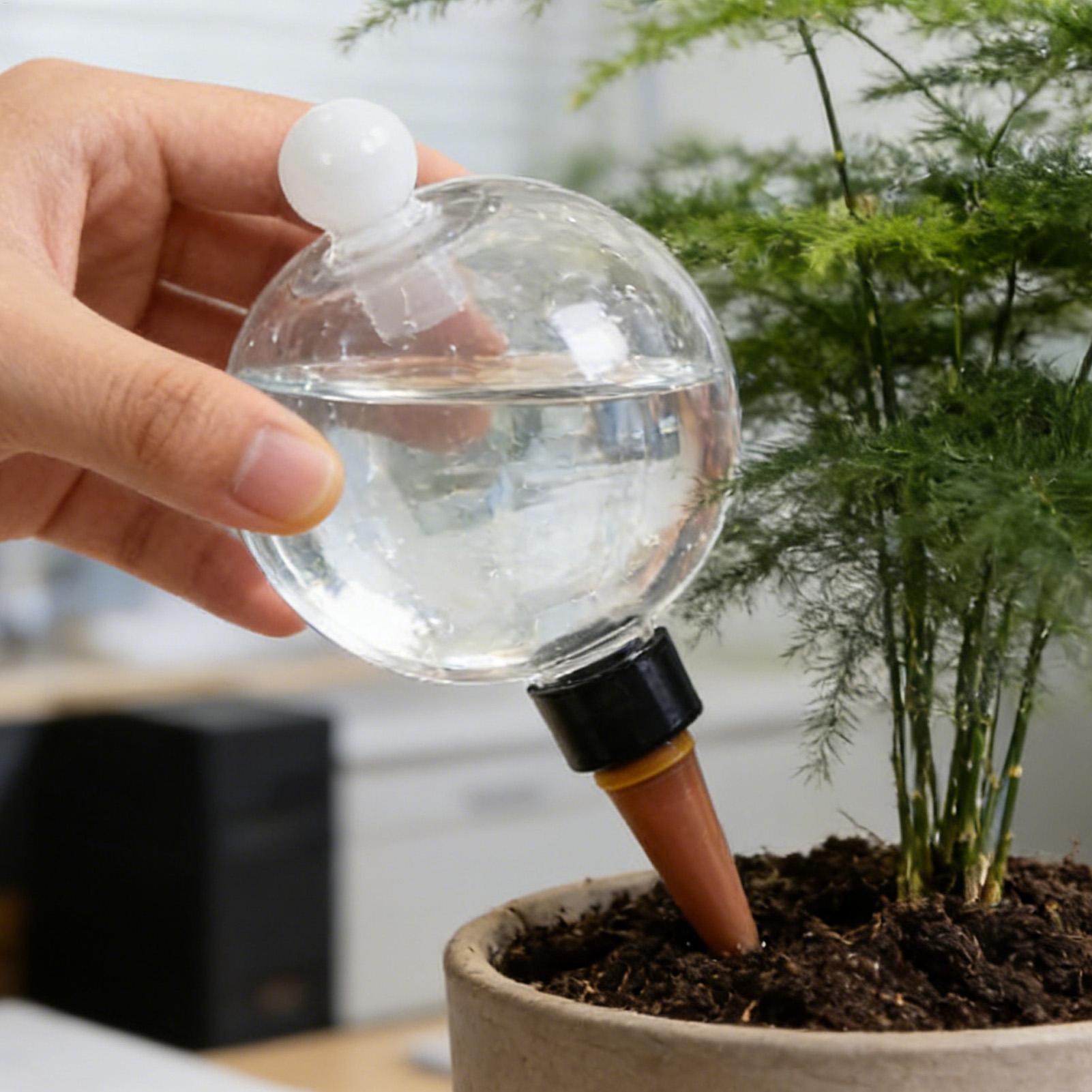 Kule do nawadniania roślin 4 s – Automatic Plant Waterer recenzja i cena