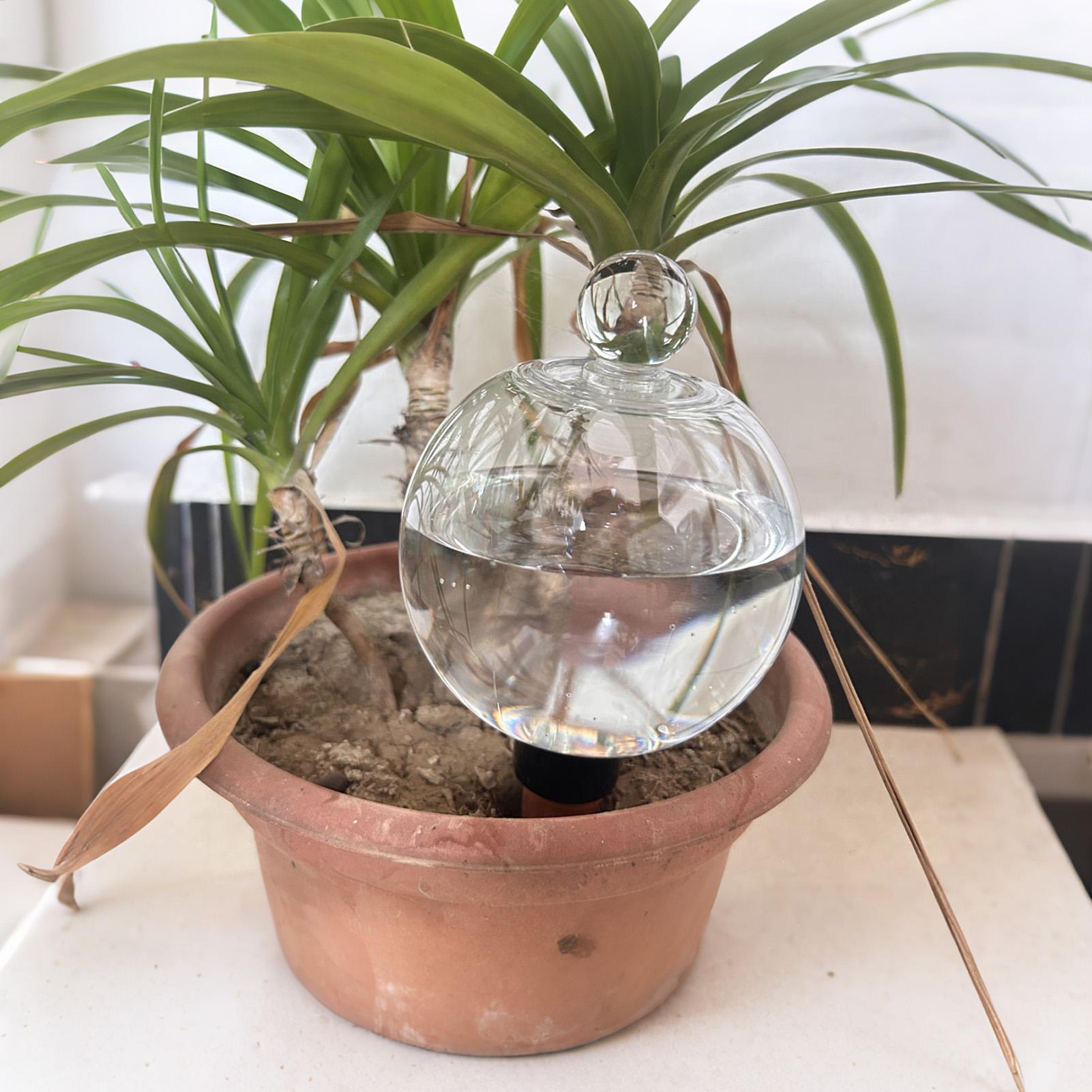 Kule do nawadniania roślin 4 s – Automatic Plant Waterer recenzja i cena