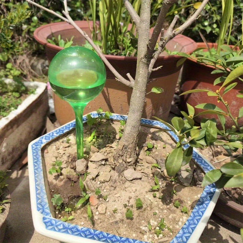6 SZT. Samonawadniające Kulki  – Automatic Plant Waterer recenzja i cena