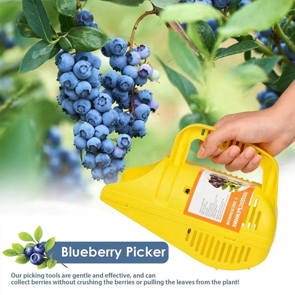 Łatwy w użyciu chwytak do jagó – Gardening Tools Must Haves recenzja i cena