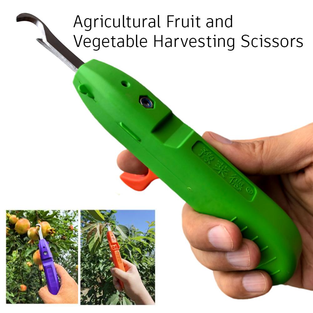 Przenośne narzędzie do szybkie – Gardening Tools Vegetables recenzja i cena