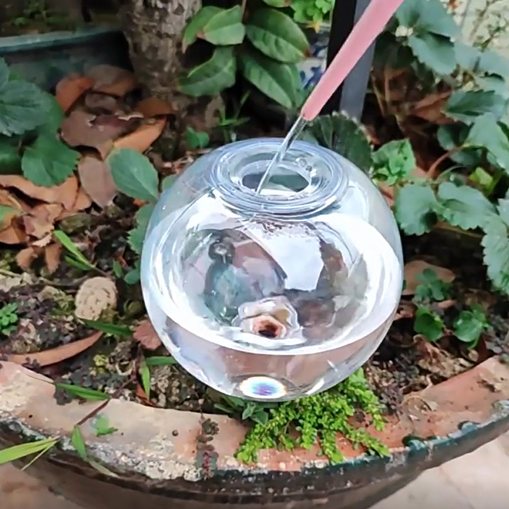 Kule samozraszające 500 ml, sy – Self-Watering Planter recenzja i cena