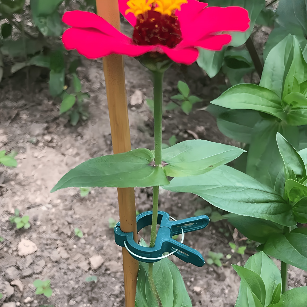 5 szt. Regulowane klipsy do ro – Gardening Tools Essential recenzja i cena