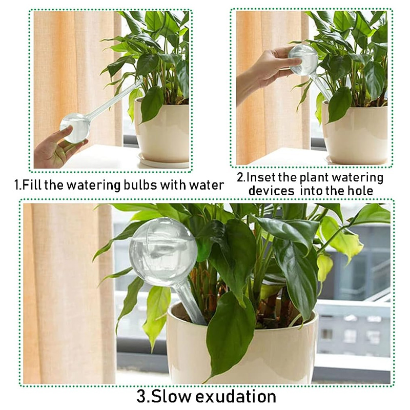 5/10 sztuk automatyczne żarówk – Automatic Plant Waterer recenzja i cena